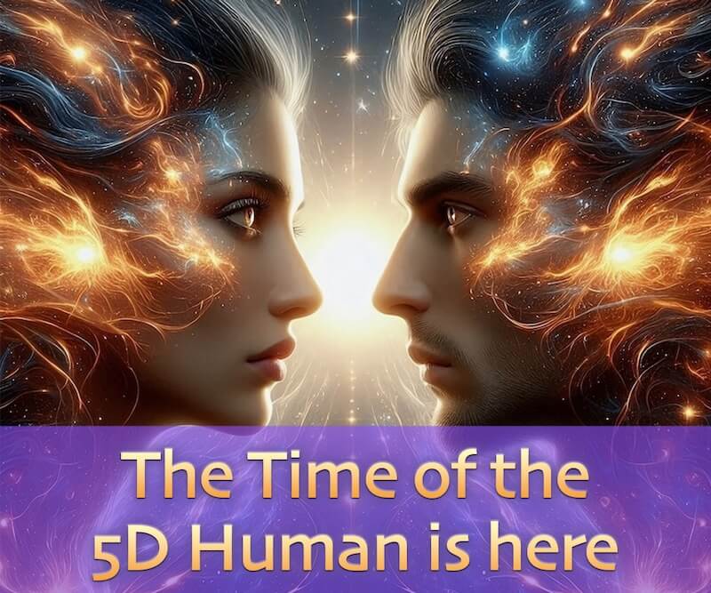 The 5D Human with Openhand