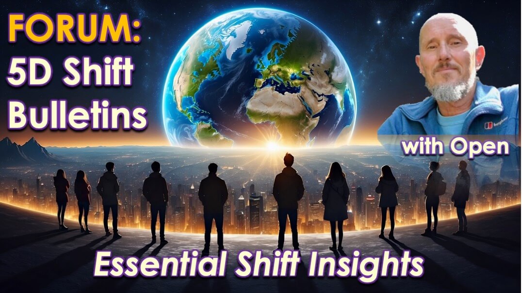 5D Shift Bulletins by Openhand