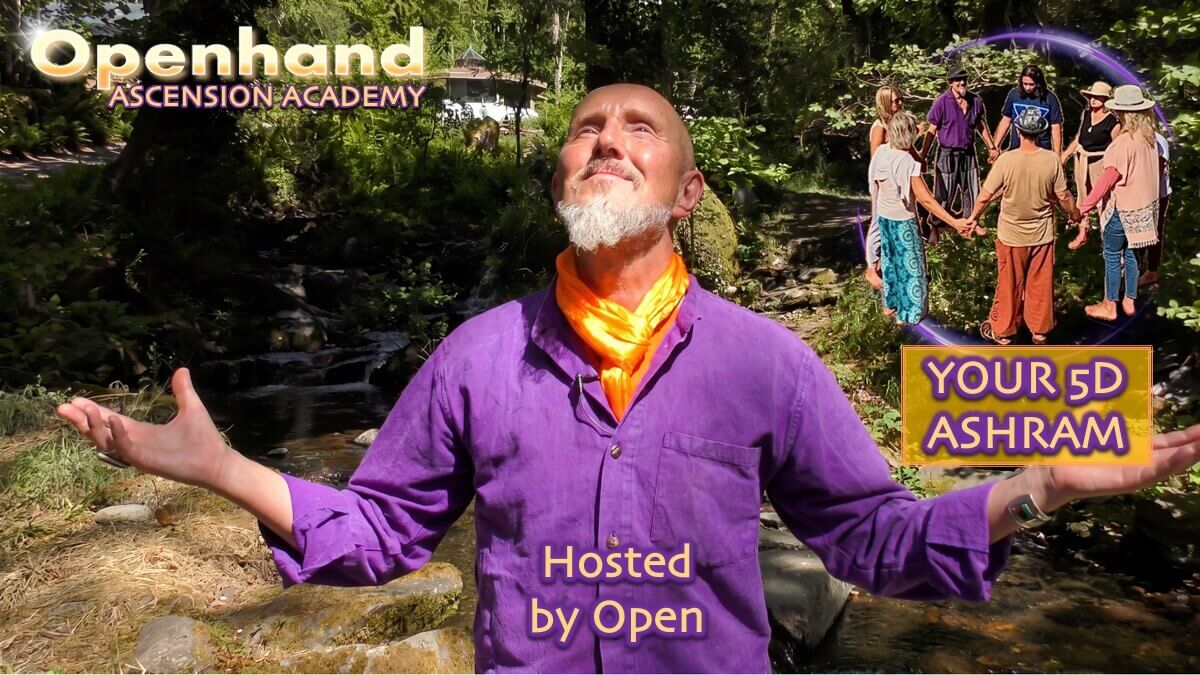 5D Ashram | Openhand