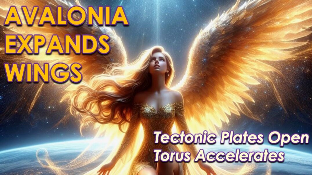 Avalonia Expands Wings by Openhand