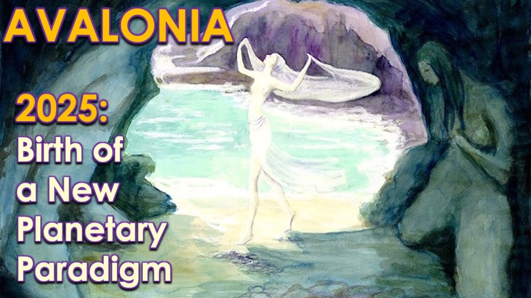 Avalonia by Openhand
