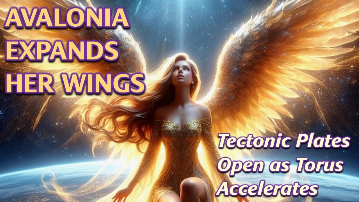 Avalonia Expands Wings | Openhand