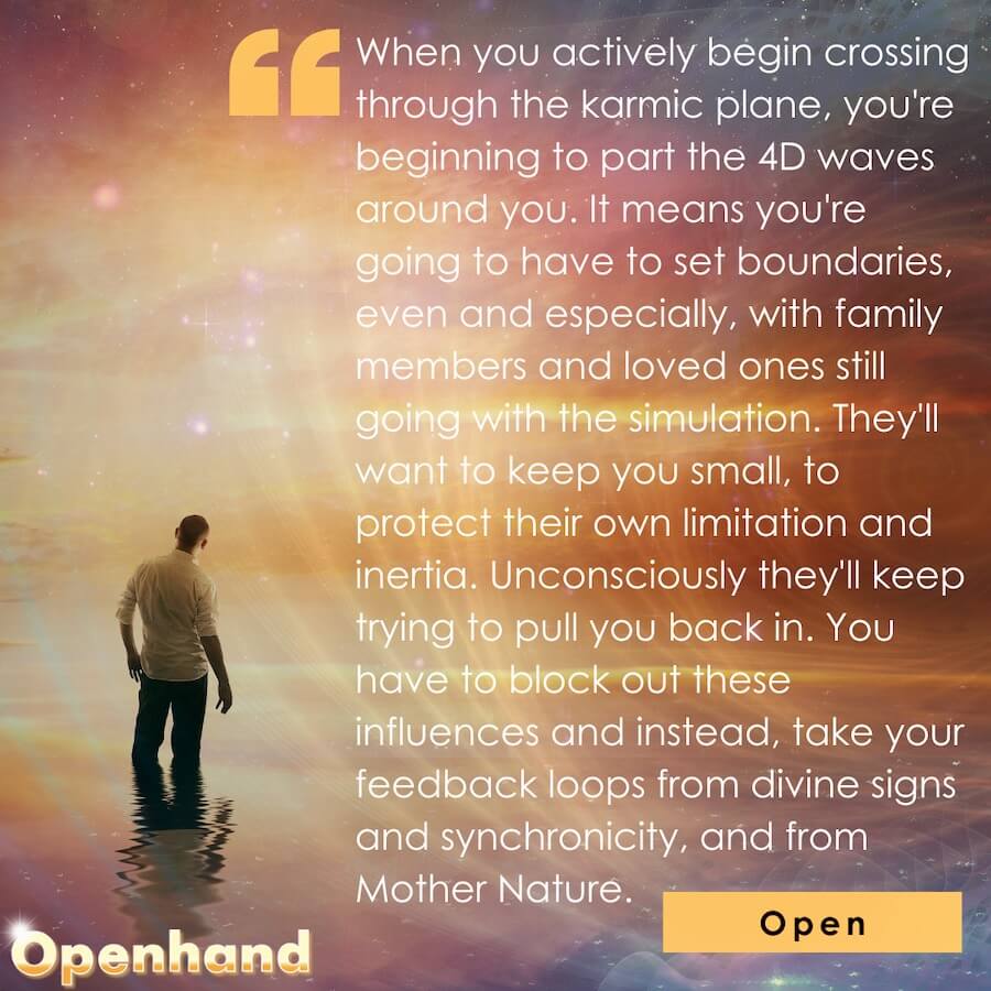 Boundaries with the Simulation by Openhand