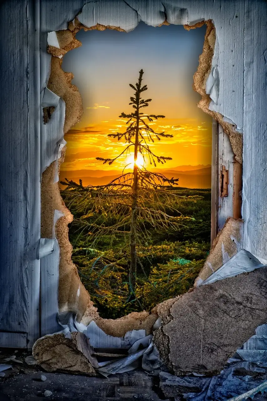 Break through reality with Openhand