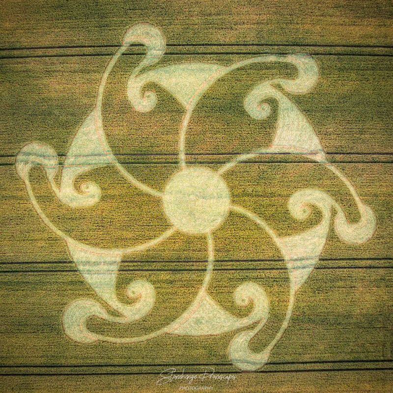 Lion's Gate Crop Circle