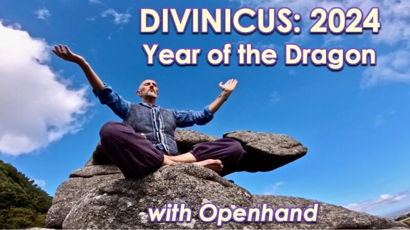 Divnicus 24 with Openhand