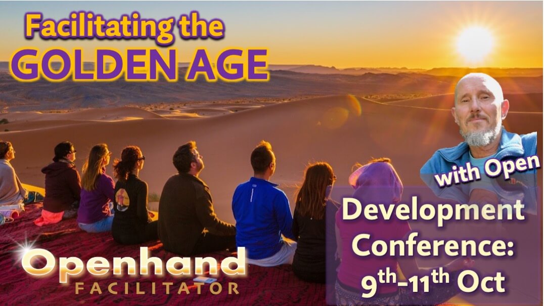 Facilitator Development
