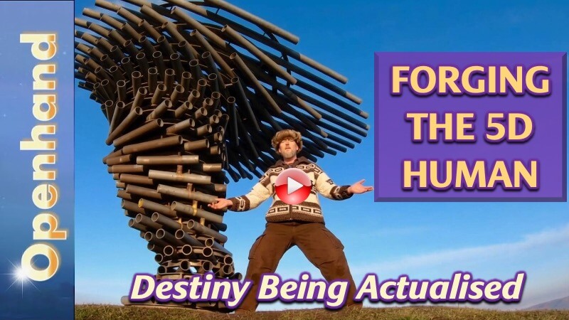 Forging The 5D Human (Play Button) 