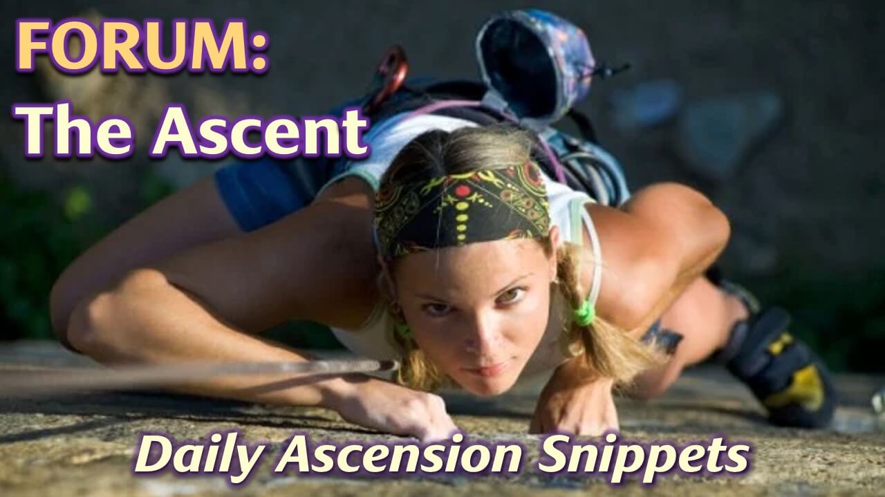 Spiritual Forum: The Ascent by Openhand