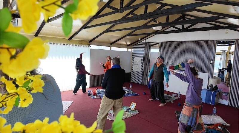 Titicaca 26: Golden Dragon | Openhand