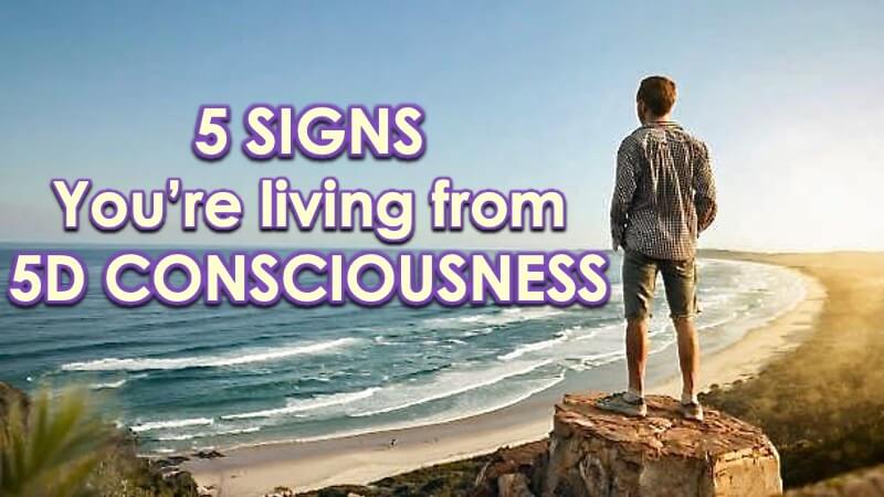 Living in 5D Consciousness with Openhand