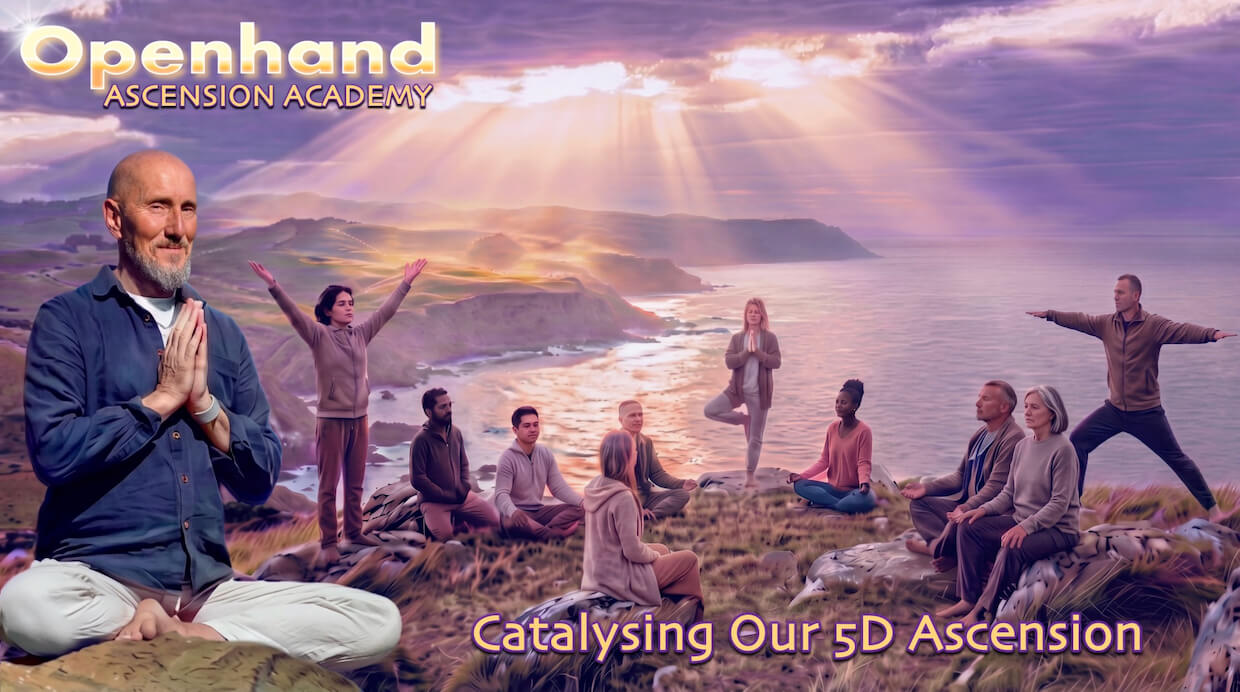 New Openhandweb design 2026 | Openhand