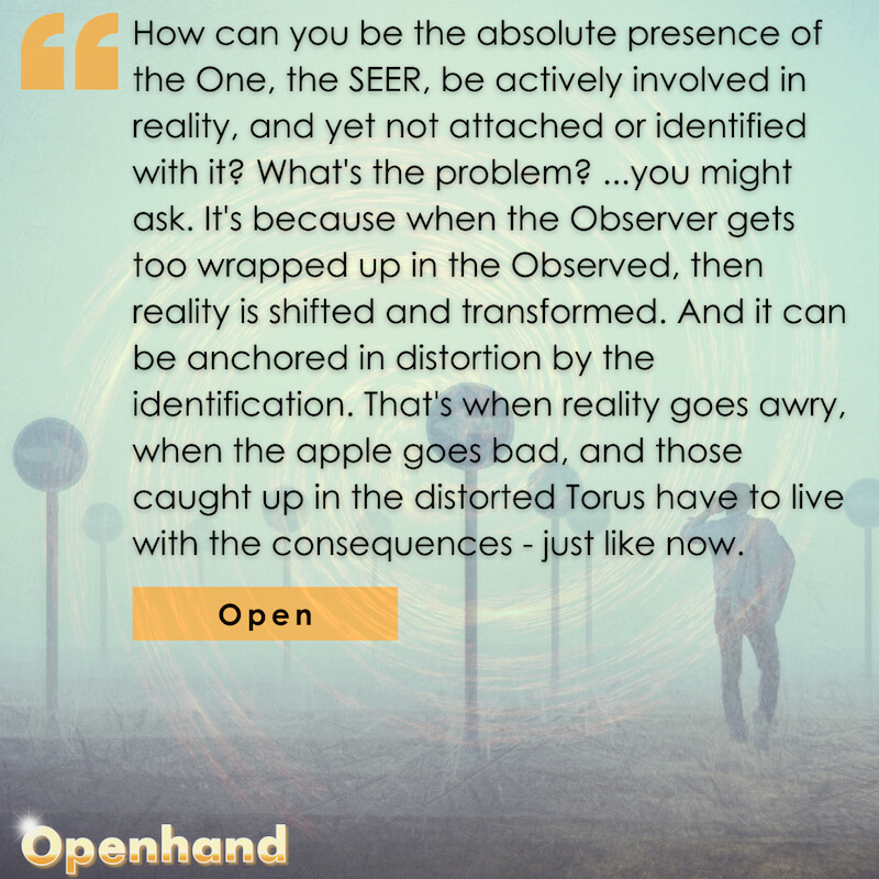 Being the Observer by Openhand