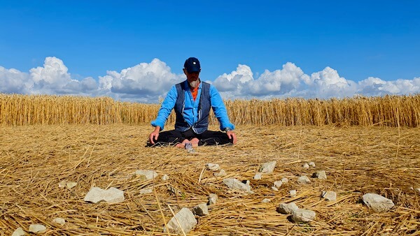 Lyran Crop Circle 3 by Openhand