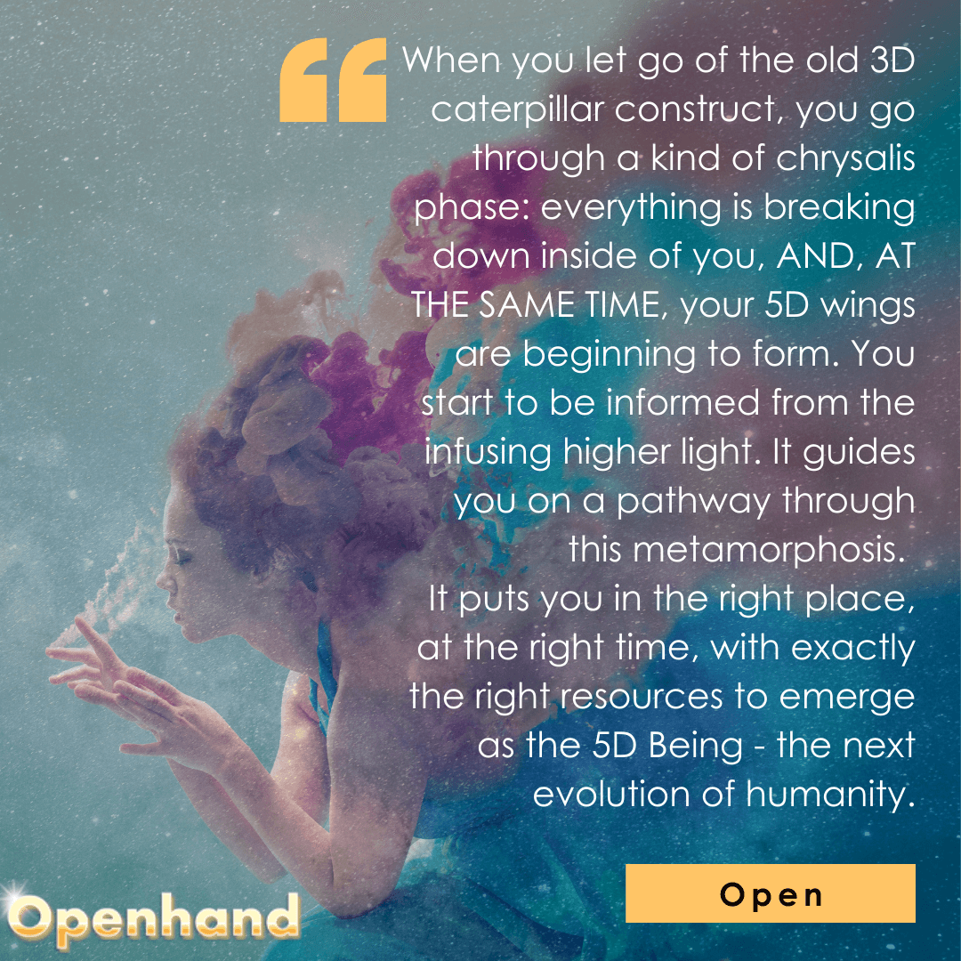 Humanity in Metamorphosis