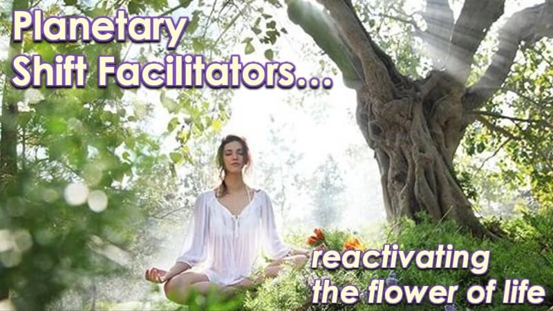 Planetary Shift Facilitators with Openhand