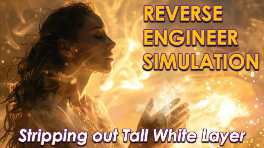 Reverse Engineer Simulation by Openhand
