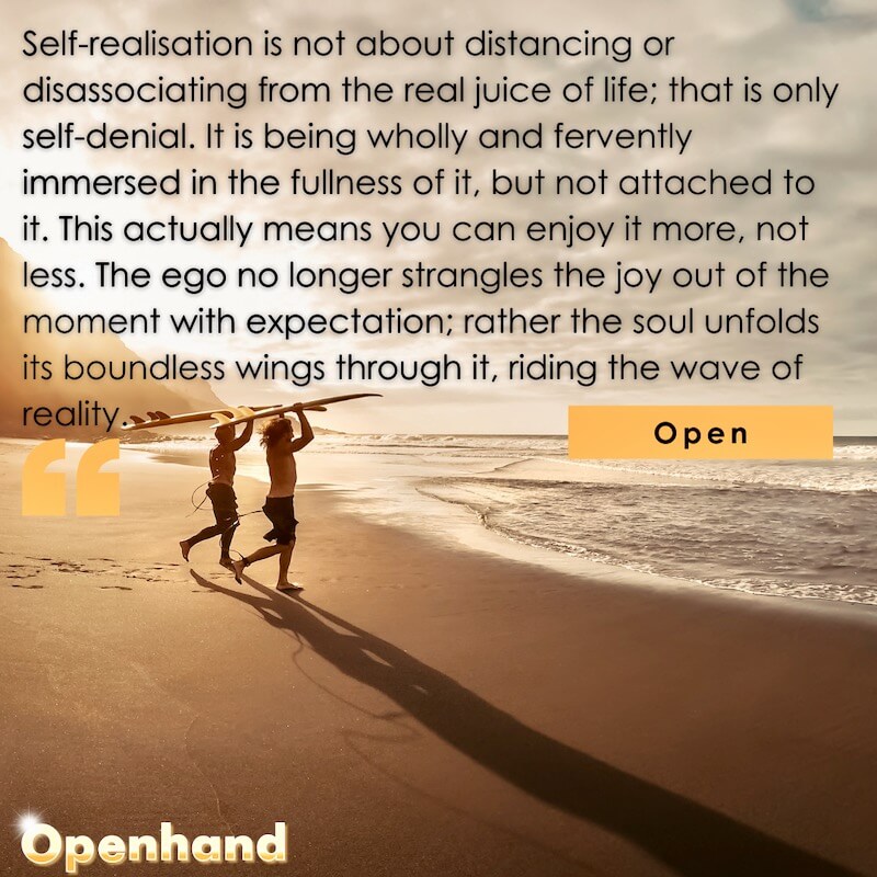 Flow of Self Realisation by Openhand