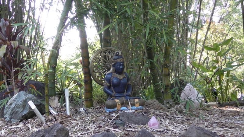 The Shiva