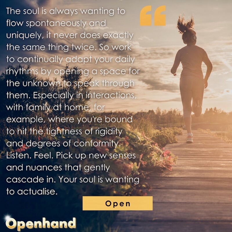 Soul as Architect by Openhand