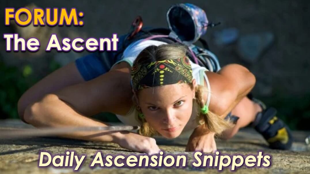 The Ascent Forum with Openhand