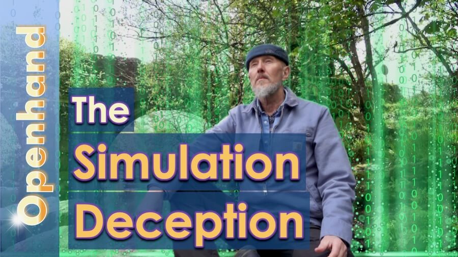 Simulation Deception by Openhand