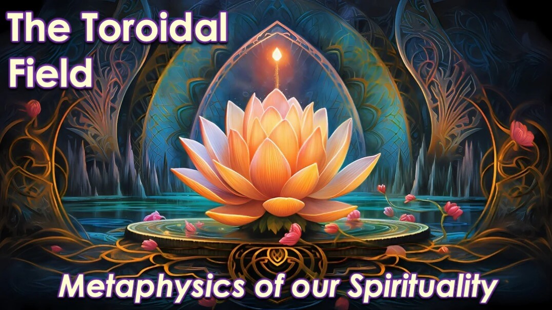 Toroidal Field by Openhand