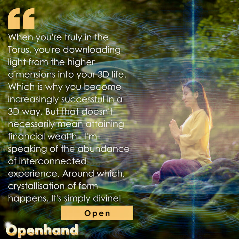 Thriving in Your Torus by Openhand