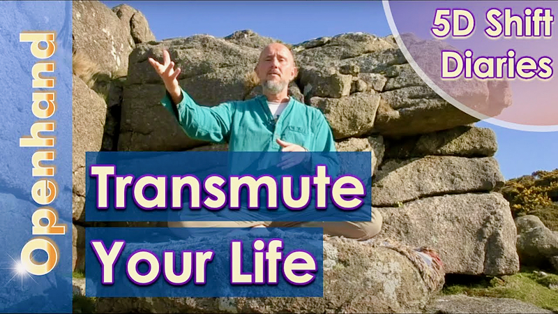 Transmute Your Life | Openhand