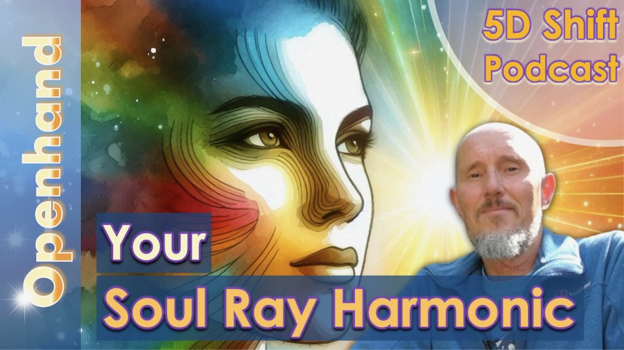The Soul Ray Harmonic - Openhand video