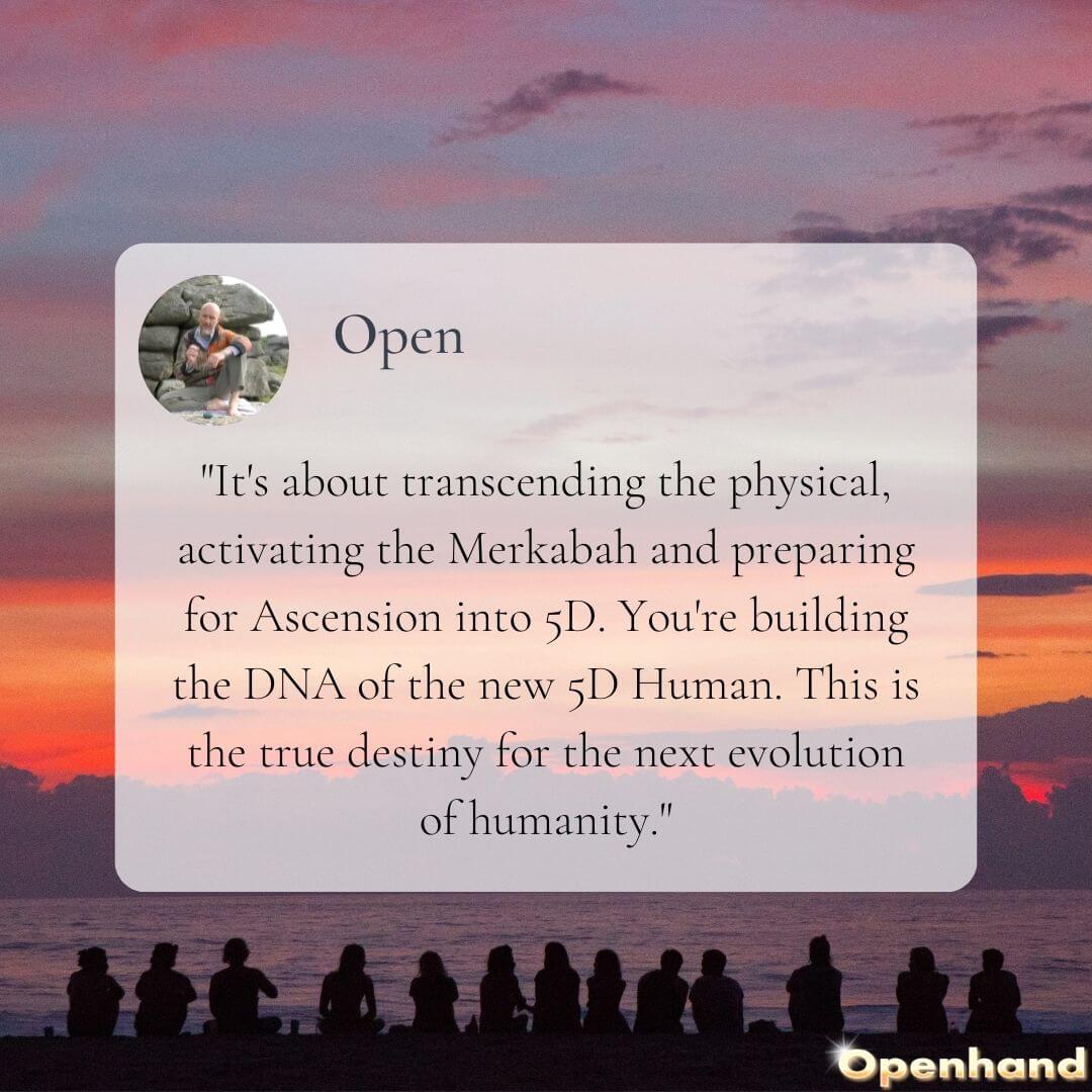 The 5D Human by Openhand