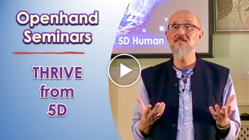 Thrive 5D (play)