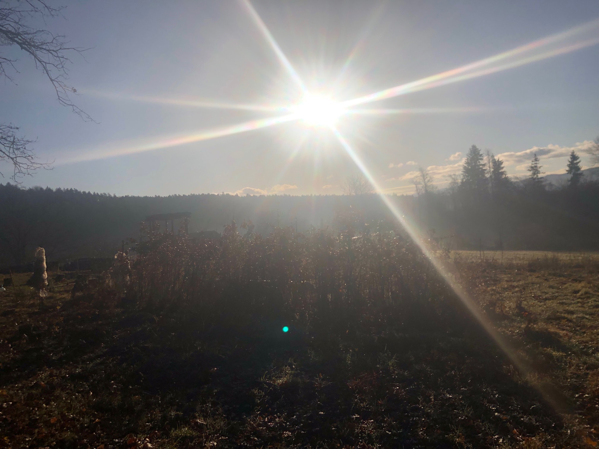 sunrise