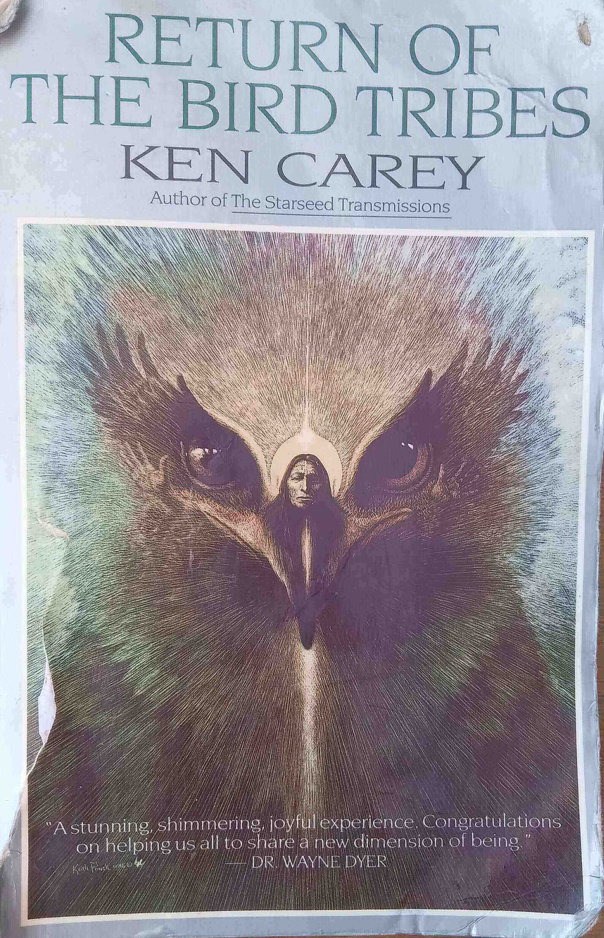 Shamanic vision
