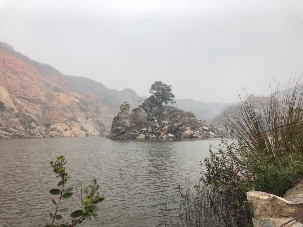 The lake and the forest that's regrown 