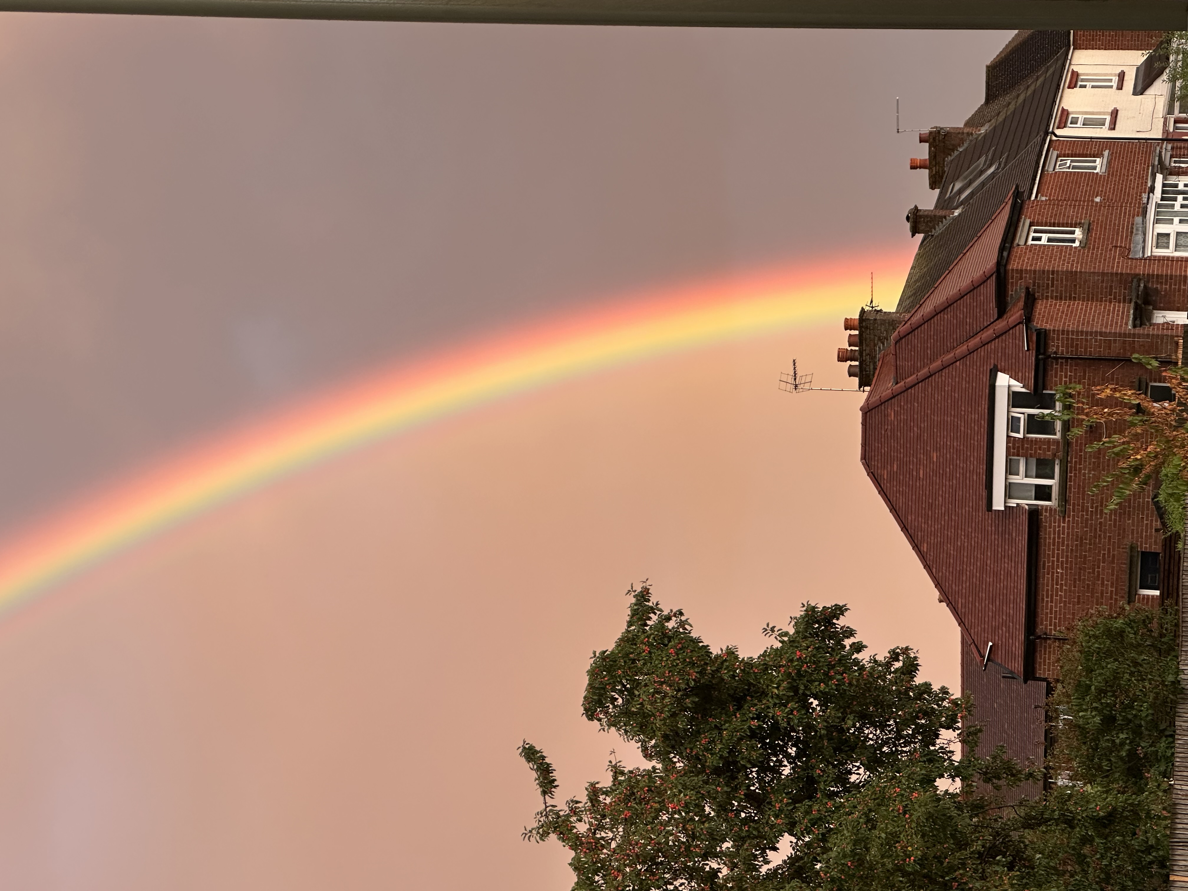 Rainbow