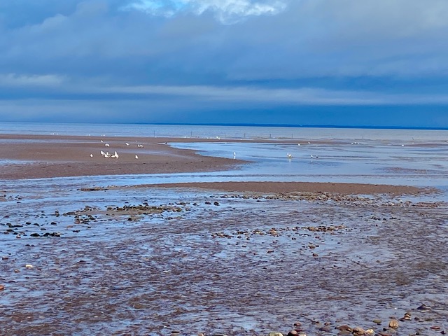 Blue Anchor Beach