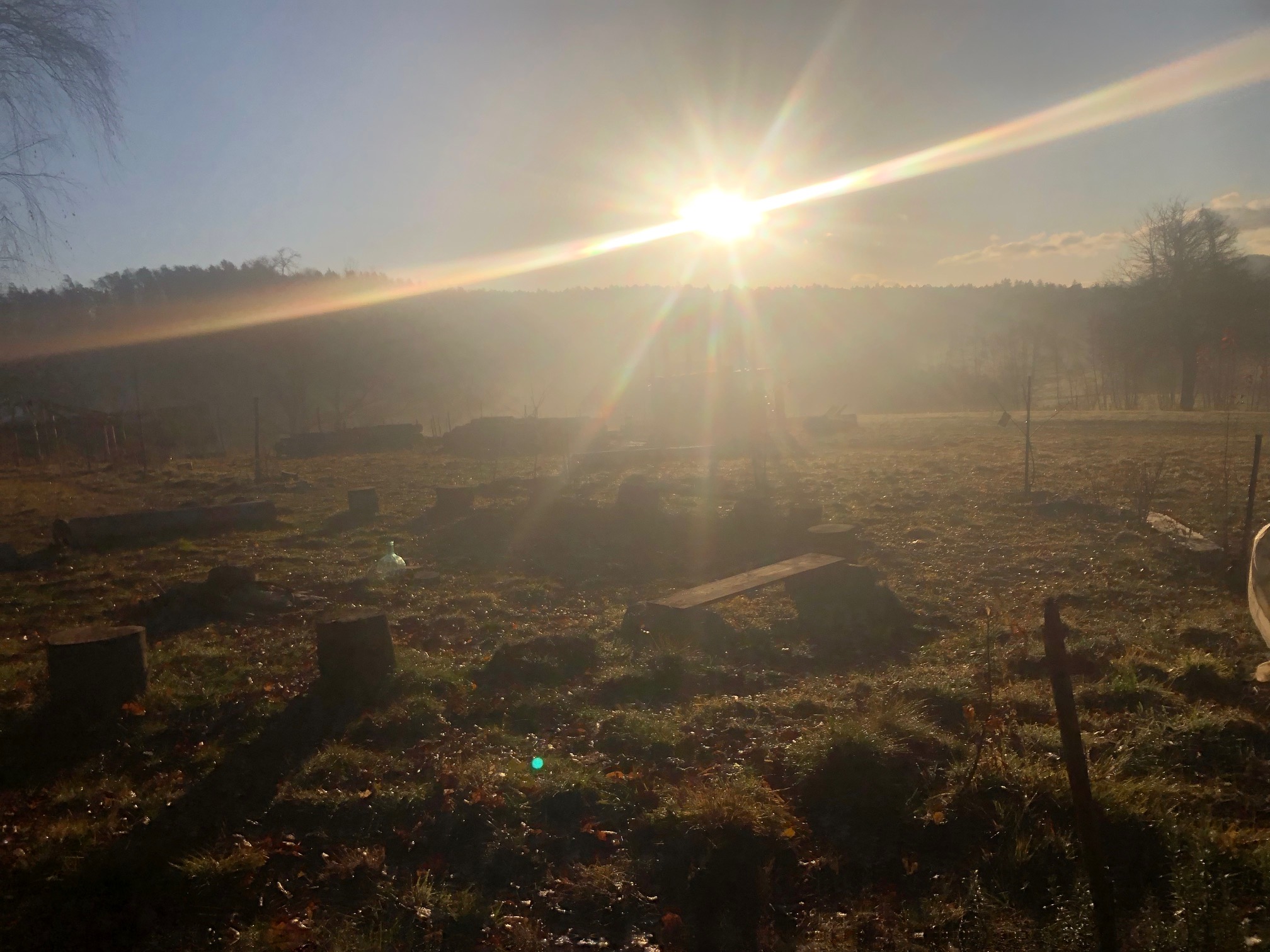 sunrise