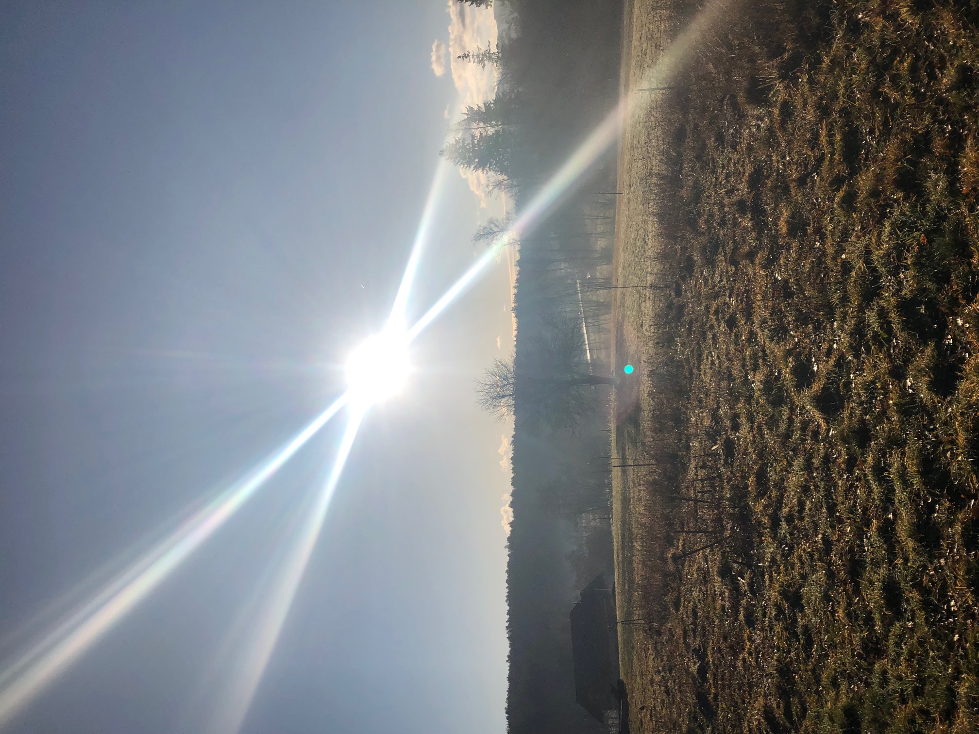 apple sun