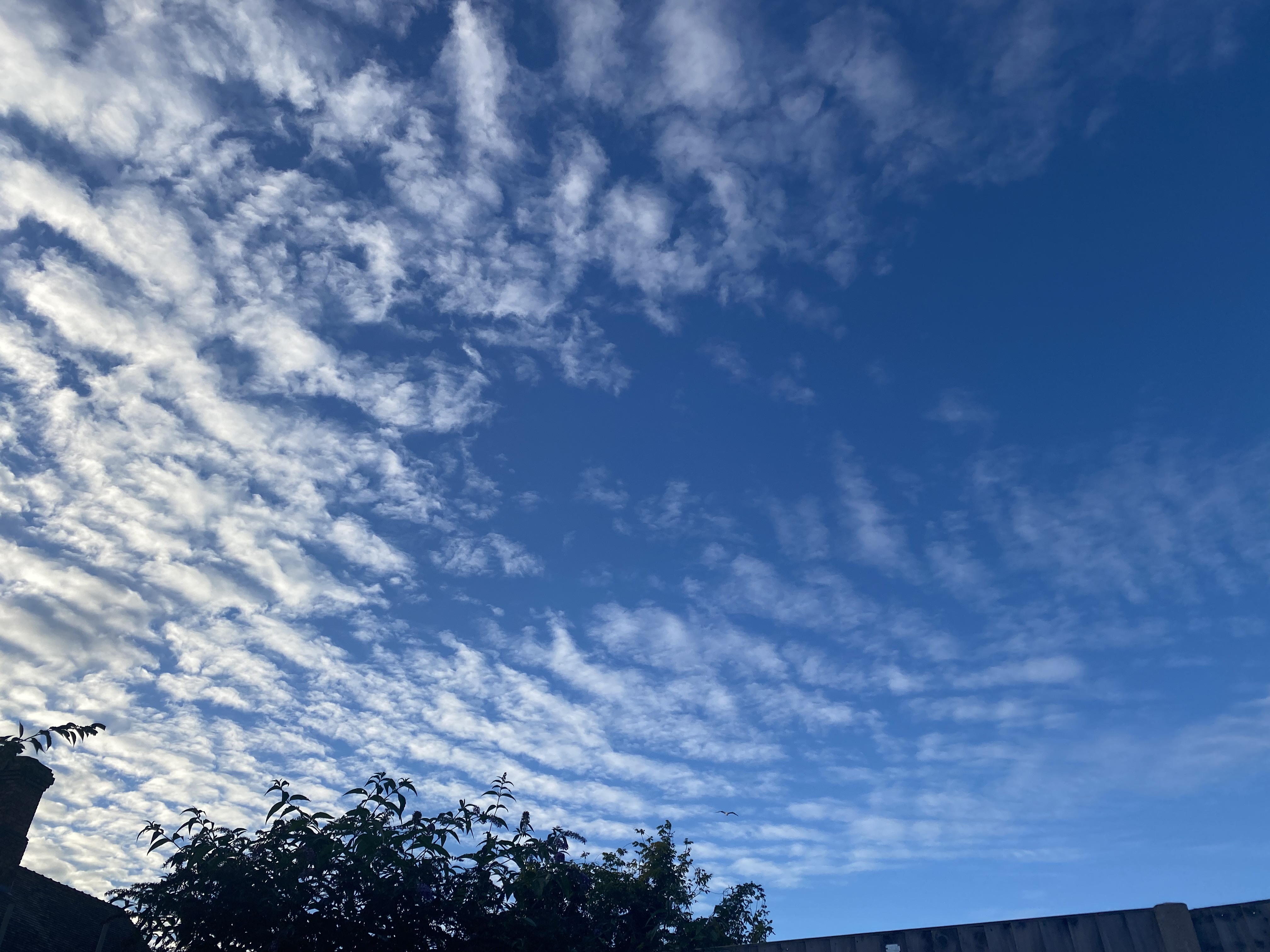Clouds