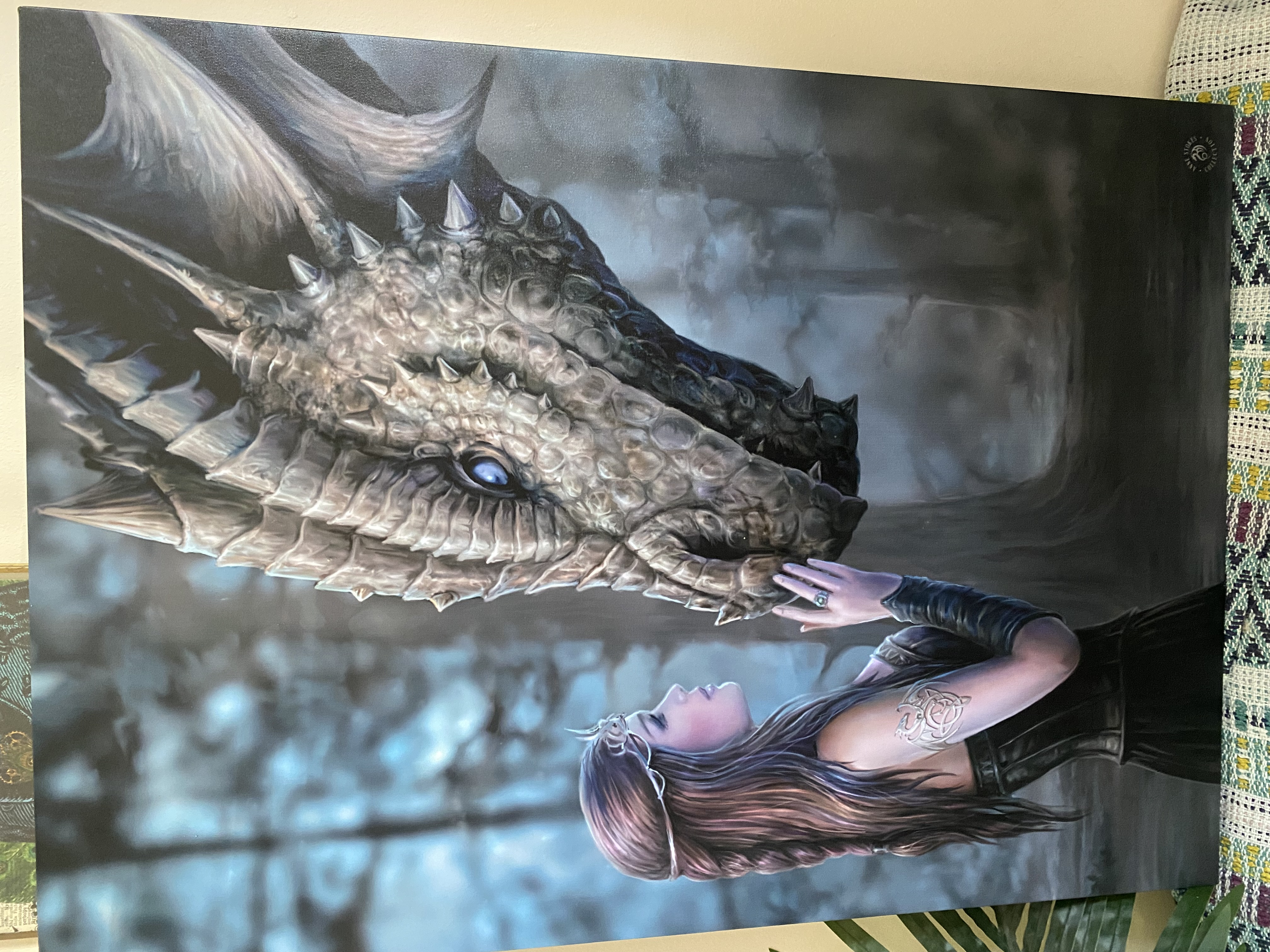 Dragons