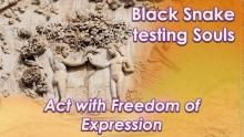 Exploring Black Snake Energy in The Shift by Openhand