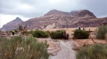 Arabia: Each Finding a Path by Openhand