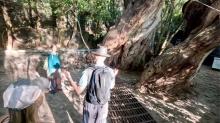 Mexico 26: Excursion Begins