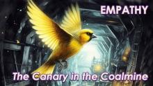 What it means Being an Empath? 
