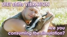 Meat & Dairy - Vibrational Effect by Openhand