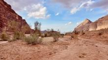 Arabia 26: Stunning! by Openhand