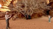 Jordan 25: Tree of Life