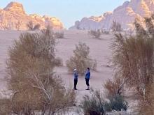 Jordan 25: Vastness